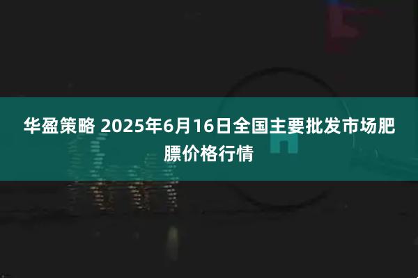 华盈策略 2025年6月16日全国主要批发市场肥膘价格行情