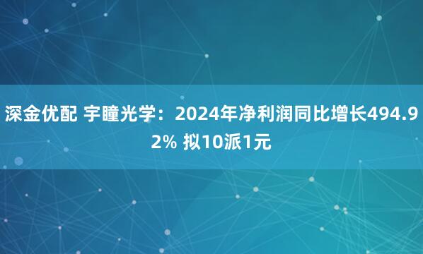 深金优配 宇瞳光学：2024年净利润同比增长494.92% 拟10派1元