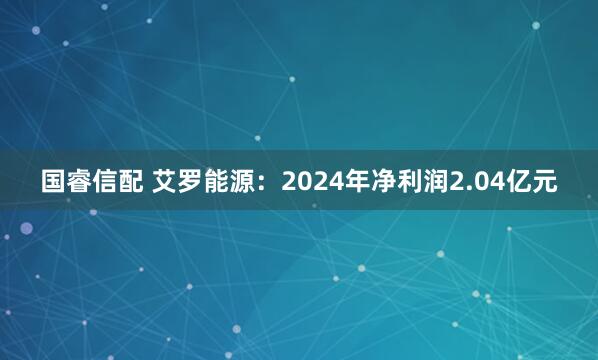 国睿信配 艾罗能源：2024年净利润2.04亿元