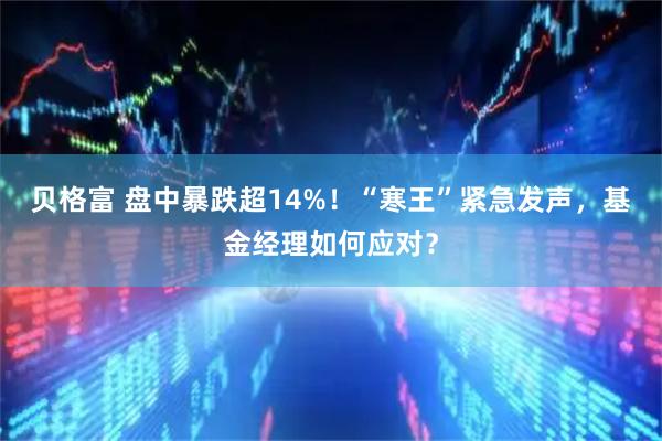 贝格富 盘中暴跌超14%！“寒王”紧急发声，基金经理如何应对？